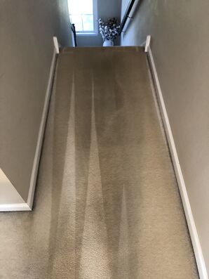 Carpet Steam Cleaning in North Delran by I Clean Carpet And So Much More LLC